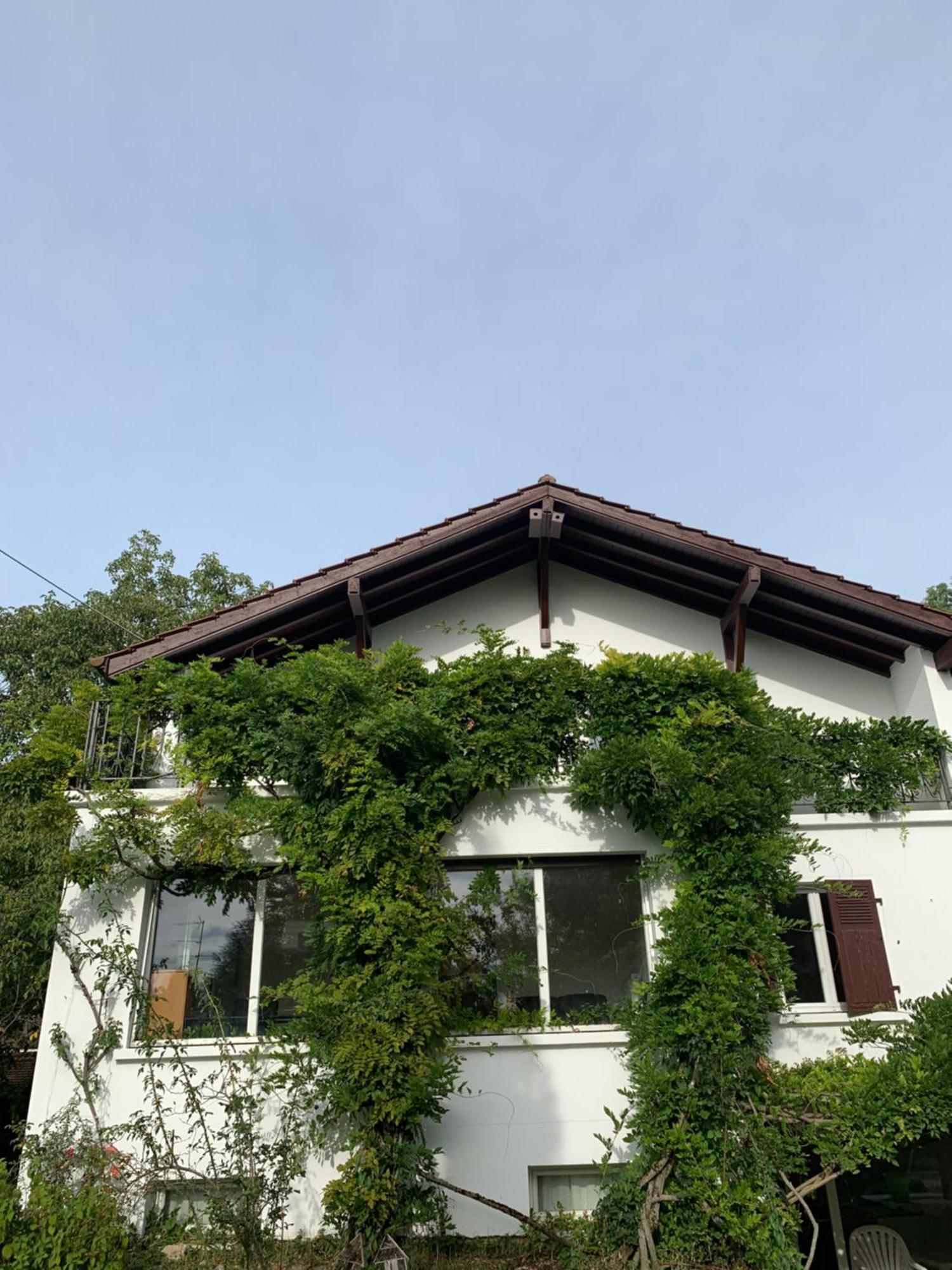 Small Walk To The Airport Séjour chez l'habitant *